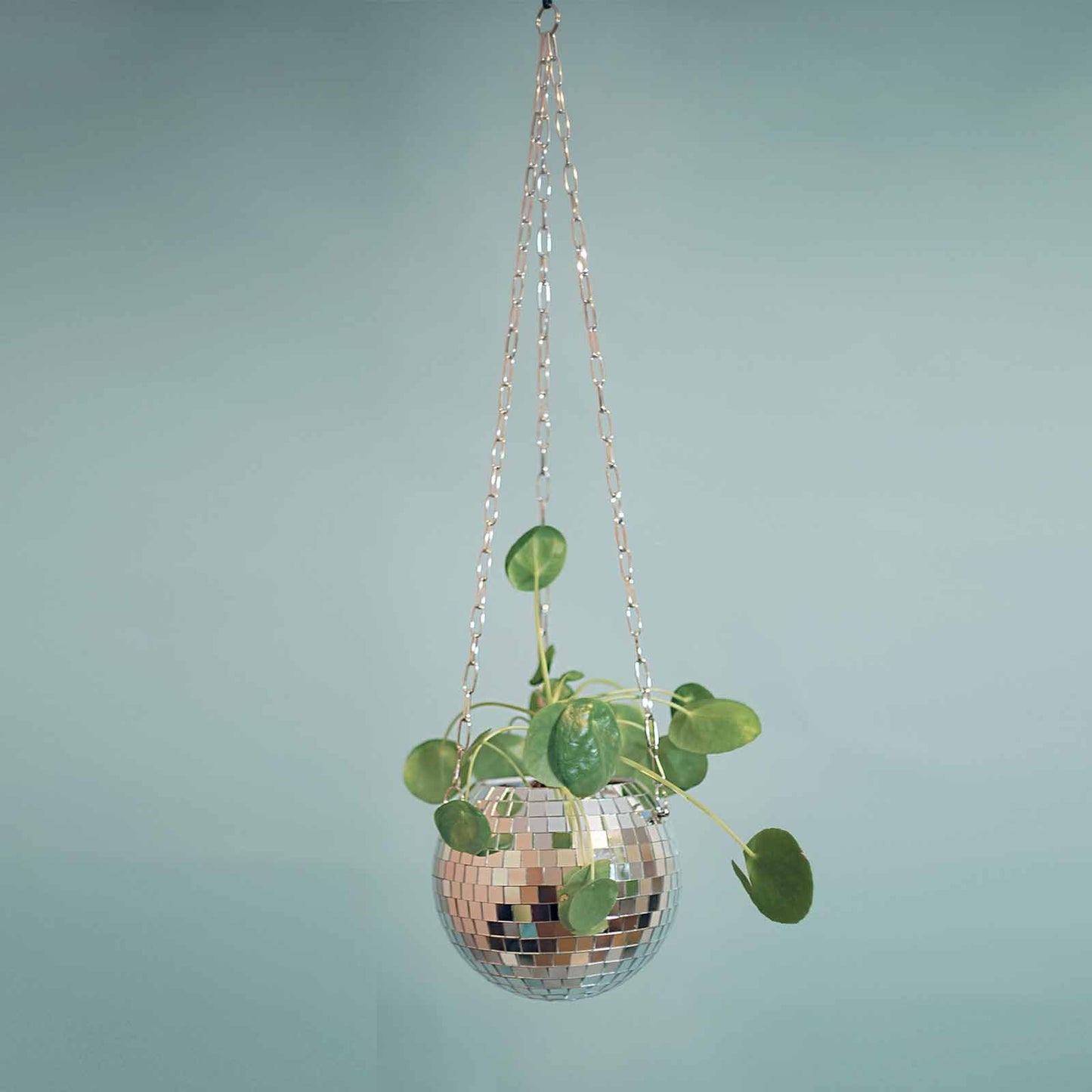 🪩 Disco Ball Planter