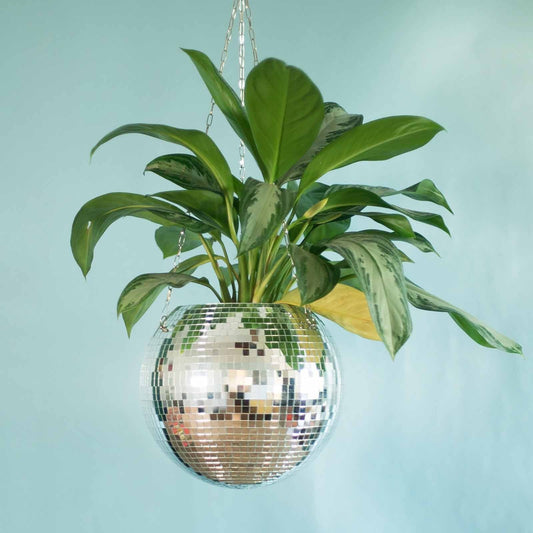 πͺ© Disco Ball Planter